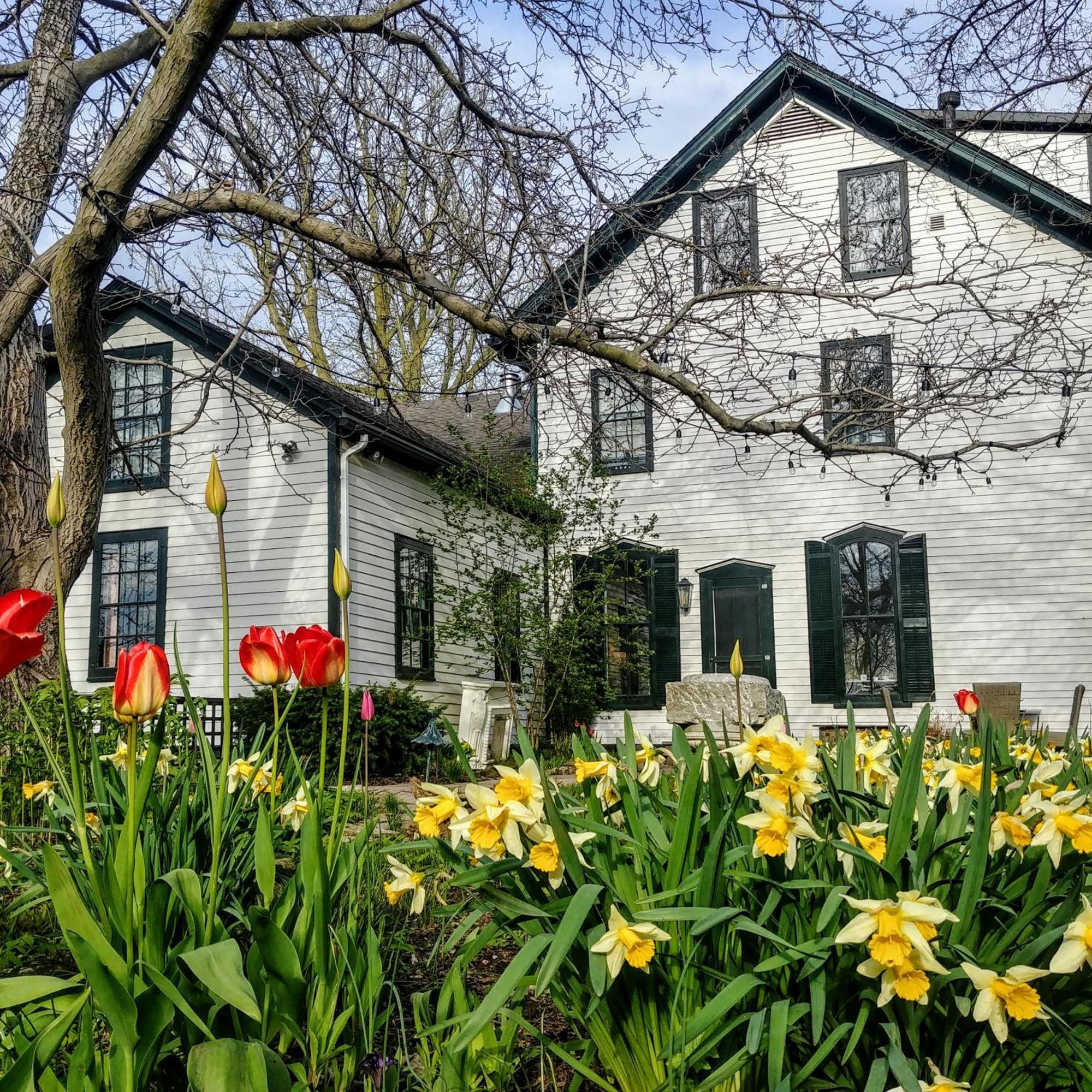 Woodbourne Inn Niagara-on-the-Lake Exterior photo